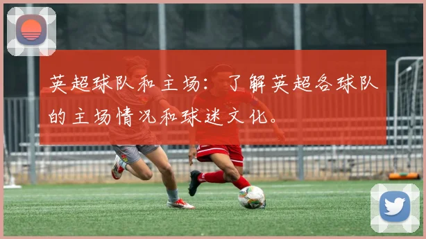 英超球队和主场：了解英超各球队的主场情况和球迷文化。