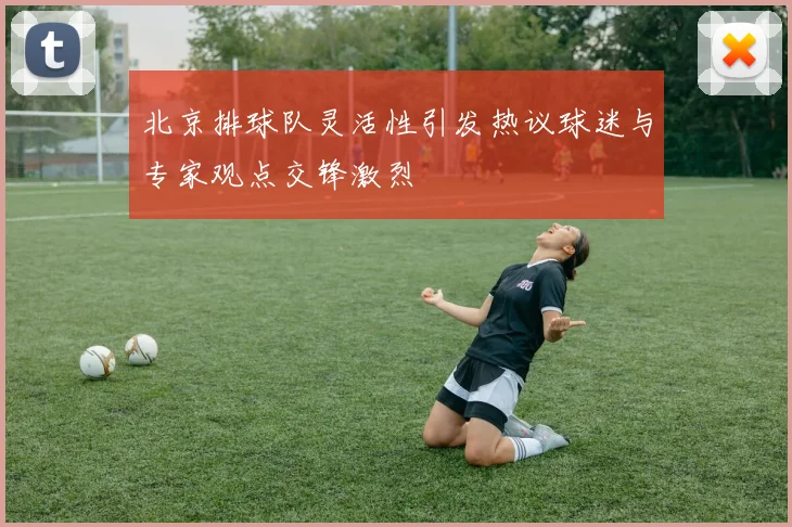北京排球队灵活性引发热议球迷与专家观点交锋激烈
