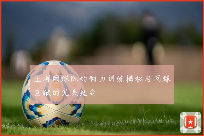 上海网球队的耐力训练揭秘与网球巨献的完美结合
